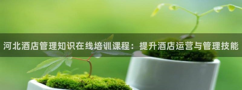 凯发k8官网备用网址