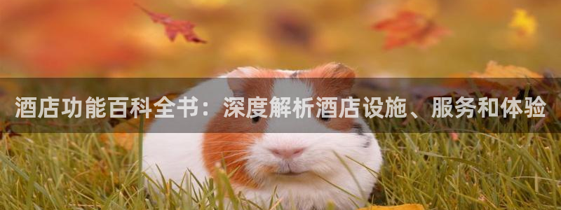 凯发k8·中国官方网站