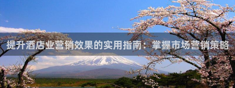 凯发k8ag旗舰厅真人平台