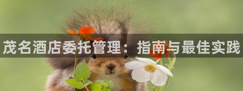 凯发官网首页